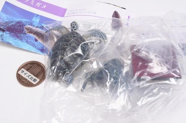 ネイチャーテクニカラー 小笠原 特装版 [3.アオウミガメ],いき