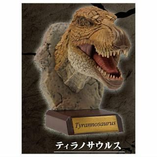 �ꥢ�붲ε�إåɥ��쥯����� [1.�ƥ���Υ����륹]�ڥͥ��ݥ������б��ۡ�C��