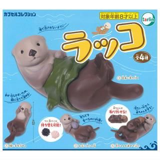 【全部揃ってます!!】ラッコ [全4種セット(フルコンプ)]【ネコポス配送対応】【C】