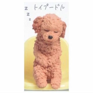 äˤͤ  [1.ȥסɥ]ڥͥݥбۡC