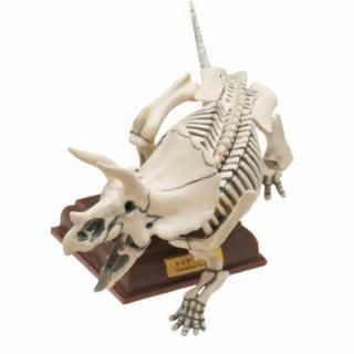 ͥ㡼ƥ˥顼 ʪ [5.ȥꥱȥץ ɸܿ] ͥݥԲ 