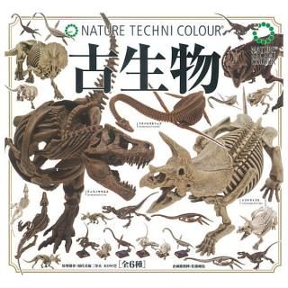 ������·�äƤޤ�!!�ۥͥ����㡼�ƥ��˥��顼 ����ʪ [��6�糧�å�(�ե륳���)]�� �ͥ��ݥ��Բ� ��