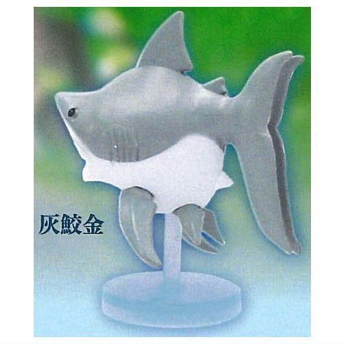 サメ金魚 [1.灰鮫金],リアンキューラボ ガチャガチャ カプセル
