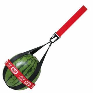 ե롼ĥϡͥ [1.祵] ͥݥԲ ۡC