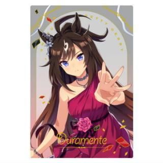 ̼ ץƥӡ ĥ󥦥ϡ Special R 2025 [3.ɥ(饯)ɥ쥹쥢]ڥͥݥбۡC