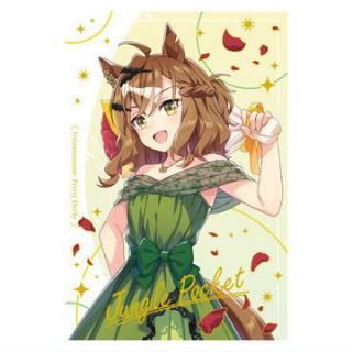 ����̼ �ץ�ƥ��������ӡ� �ĥ��󥦥��ϡ��� Special R 2025 [7.����󥰥�ݥ��å�(����饯����������)��ɥ쥹�쥢��]�ڥͥ��ݥ������б��ۡ�C��