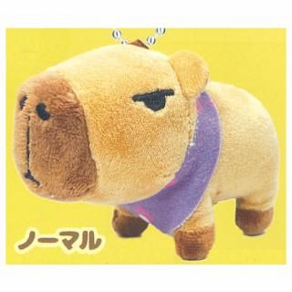 100߸ 饫Ԥפ̤ [1.Ρޥ] ͥݥԲ ۡC