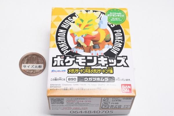 カツラのリザードンとわるいライチュウのセット カツラのリザードン