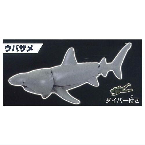 400 ゲーム・おもちゃ・グッズ 世界のサメコレクション