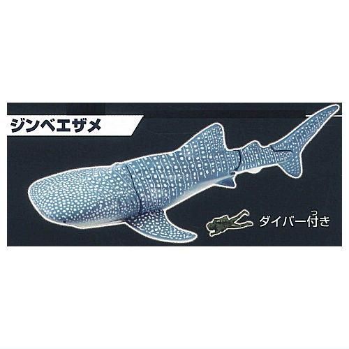 あそべる生物フィギュアシリーズ ザ・シャーク 集結！鮫のなかま [7