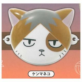 �ϥ����塼!! �ߥ˥��奢����� [5.����ޥͥ�]�ڥͥ��ݥ������б��ۡ�C��