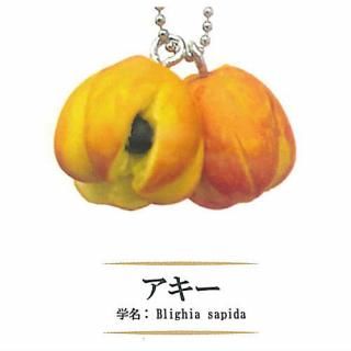 ���ܿͤ�9�䤬�Τ�ʤ��������ե롼�ĥߥ˥��奢���쥯����� [1.������]�ڥͥ��ݥ������б��ۡ�C��