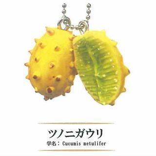 ���ܿͤ�9�䤬�Τ�ʤ��������ե롼�ĥߥ˥��奢���쥯����� [4.�ĥΥ˥�����]�ڥͥ��ݥ������б��ۡ�C��