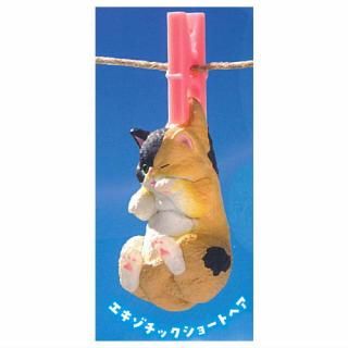 ��������3 ��äѤꥭ�쥤�ˤʤ�äƵ��������� [1.���������å����硼�ȥإ�]�ڥͥ��ݥ������б��ۡ�C��