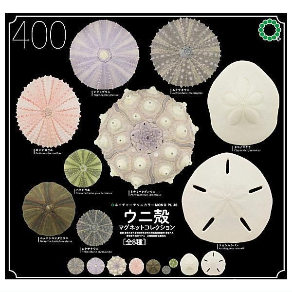 全部揃ってます!!】ネイチャーテクニカラーMONO PLUS ウニ殻