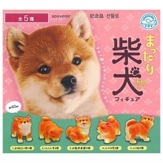 専用　ドリーミンタイニーペッツ・クッションチャーム　フルコンプ　3セット　ガチャ 専用 ドリーミンタイニーペッツ・クッションチャーム フルコンプ
