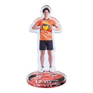 �ⶶ�� ������륳�쥯����� [2.�ǥ�����B]�ڥͥ��ݥ������б��ۡ�C��