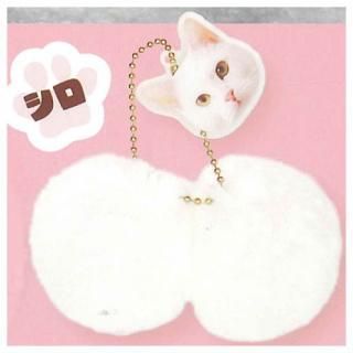 ˤ󤿤ޤä [3.]ڥͥݥбۡC