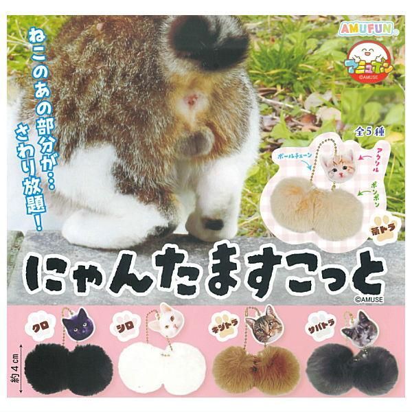 にゃんた 全部揃ってます!!】にゃんたますこっと [全5種セット(フルコンプ