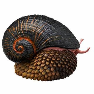 ͥ㡼ƥ˥顼MONO PLUS ʪ ޥͥåȡܡ2 [7.եͥޥ(ɥ饹)] ͥݥԲ 