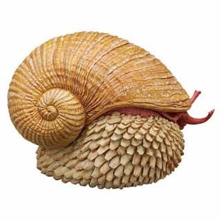 �ͥ����㡼�ƥ��˥��顼MONO PLUS ������ʪ �ޥ��ͥåȡ��ܡ����������2 [8.�������եͥ��ޥ���(�򥹥�)]�� �ͥ��ݥ��Բ� ��