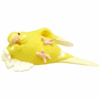 ���Ȥ�ε��� ���Ĥ������� [5.������������A]�ڥͥ��ݥ������б��ۡ�C��