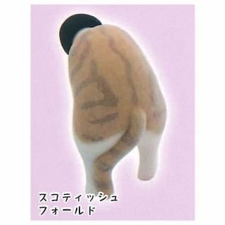 ����ǭ�ե��å���ver. [3.�����ƥ��å���ե������]�ڥͥ��ݥ������б��ۡ�C��