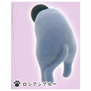 ����ǭ�ե��å���ver. [6.��������֥롼]�ڥͥ��ݥ������б��ۡ�C��