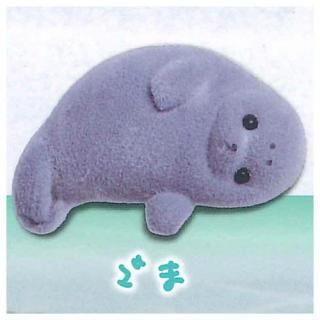 ΤΤ褦͡ դդ餷 [3.] ͥݥԲ 