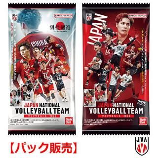 �ڥѥå������ JAPAN NATIONAL VOLLEYBALL TEAM �ĥ��󥦥��ϡ��� 2025 �ڥͥ��ݥ������б��ۡ�C��