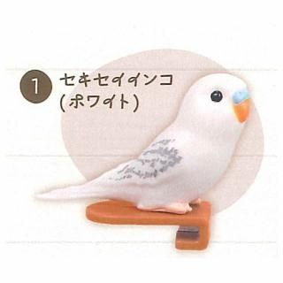 ���󥳥̡��ɥ륯��å� [1.������������(�ۥ磻��)]�ڥͥ��ݥ������б��ۡ�C��