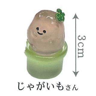 äƤú [5.㤬⤵]ڥͥݥбۡC