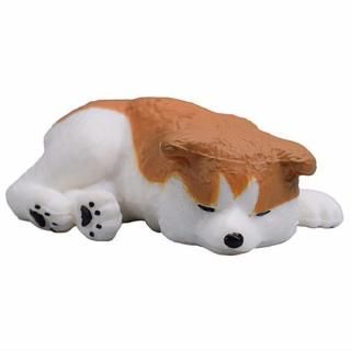 ���ĸ� �� [3.���䤹��]�ڥͥ��ݥ������б��ۡ�C��