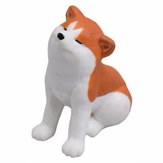 ���ĸ� �� [6.���椤]�ڥͥ��ݥ������б��ۡ�C��