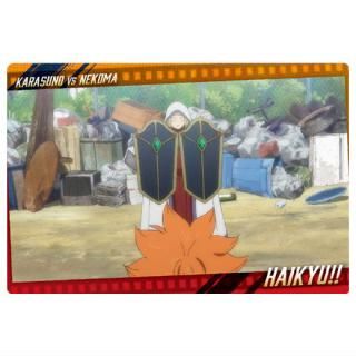 �ϥ����塼!! �����ϡ���6 [17.̾���̥�����8]�ڥͥ��ݥ������б��ۡ�C��