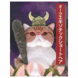 魔法使いの猫　Witch's Cat 魔法使いの猫 Witch's Cat 91DdAzQovNL._AC_UF350,