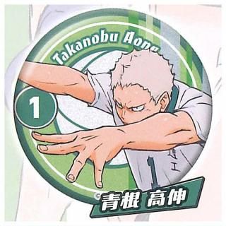 ハイキュー グリッター 缶バッジ 星海光来 20点 ハイキュー グリッター 缶バッジ 星海光来 20点 ハイキュー