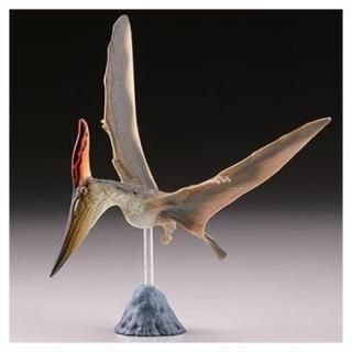 ץQ εȯ 򰡵 Ƕελ [3.ץƥΥɥ]ڥͥݥбۡC