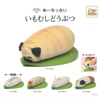 ������·�äƤޤ�!!�ۤ᡼���ä��� ����ष�ɤ��֤� [��5�糧�å�(�ե륳���)]�ڥͥ��ݥ������б��ۡ�C��