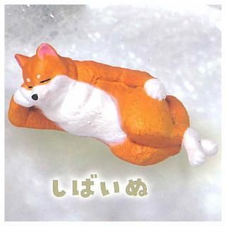 -OCHI [2.Ф] ͥݥԲ ۡC