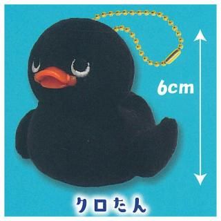 ���Υ��ҥ�����פ������ [5.��������]�� �ͥ��ݥ��Բ� �ۡ�C��