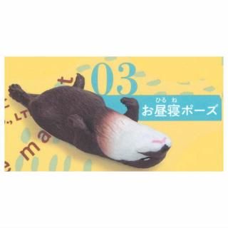 Otter Lover ĥᥫ復ޤä [3.뿲ݡ]ڥͥݥбۡC
