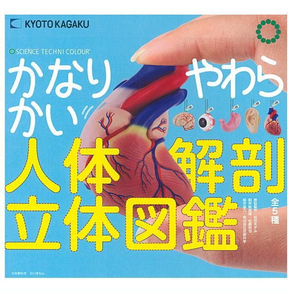 【新品・限定フルコンプ】原色人体解剖図鑑 16個入 TFC 原色人体解剖図鑑Ⅱ完全版｜商品情報｜タカラトミーアーツ