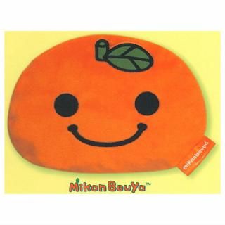 ２枚。Rchan.❤みかん＊超レア❤超厚手＊極やわ⭐Wボア☆シングルお布団 サンエックス San-Xオールスターズ ふわふわポーチ [アソート4種セット