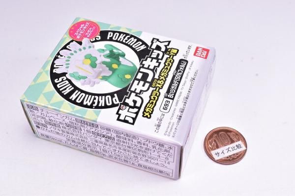 ポケモンキッズ メガミュウツーX＆メガミュウツーY編 [7.白いジガルデ