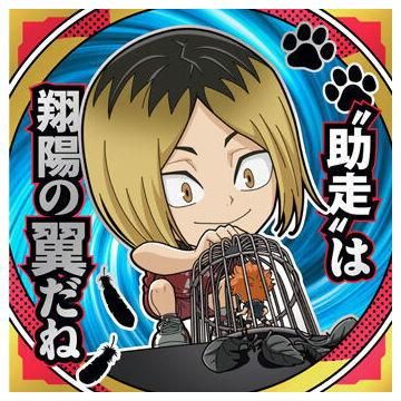 ハイキュー ゴミ捨て場の決戦 孤爪研磨 ウエハース まとめ売り にふぉるめーしょん 劇場版ハイキュー!! ゴミ捨て場の決戦 シール