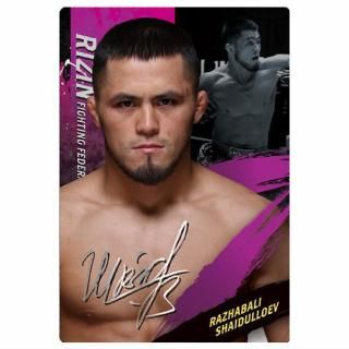 RIZINϡ'25 [33.饸֥ꡦɥ饨(R)]ڥͥݥбۡC