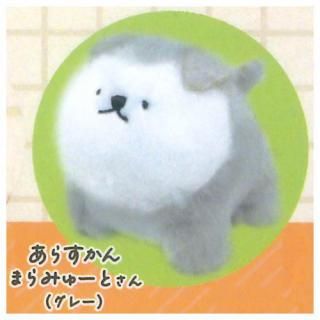 ƤΤҤ饵緿ѥԡ ̤ [3.餹ޤߤ塼Ȥ(졼)] ͥݥԲ ۡC