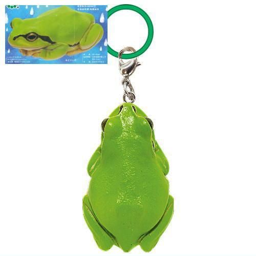 ネイチャーテクニカラー MONO PLUS アマガエル めじるしマスコット [1