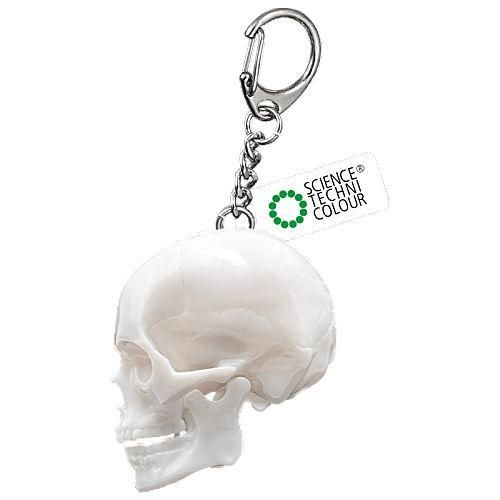 サイエンステクニカラー スケルトンズ イン スケルトンカラー [1